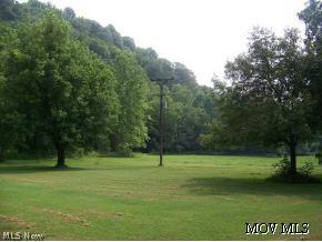 3235 Leith Run Road New Matamoras, OH 45767 - Photo 6 of 12 Land