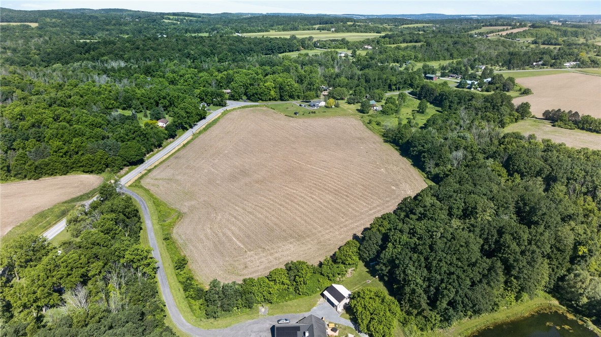 Cramer Road Canandaigua, NY 14424 - Photo 30 of 47