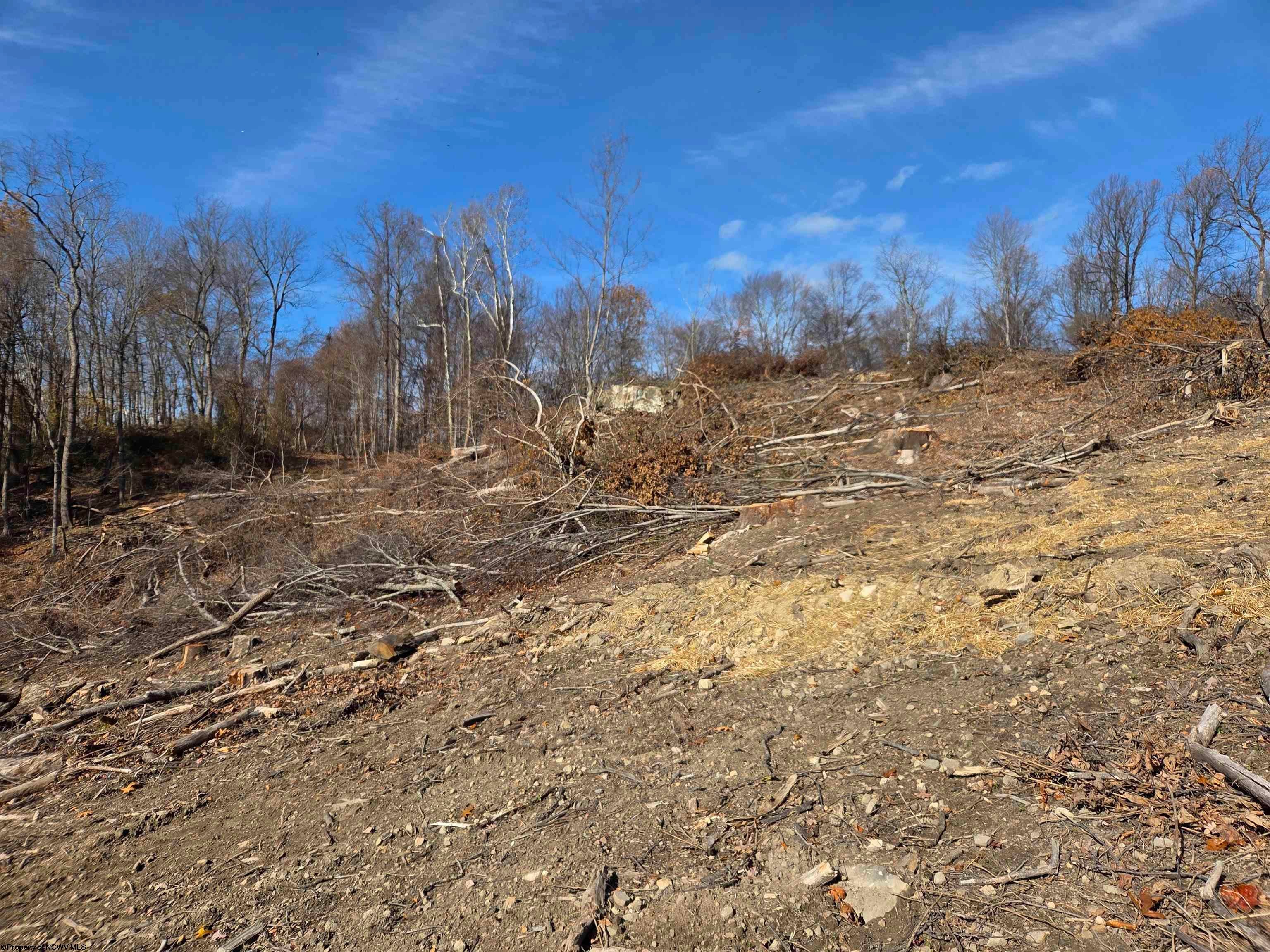0 Old Cheat Road Morgantown, WV 26508 - Photo 11 of 27 Gallery Image 11