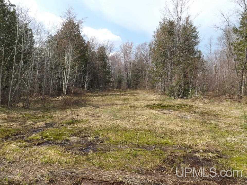 Tbd Forest Rd 180 Wakefield, MI 49968 - Photo 1 of 15