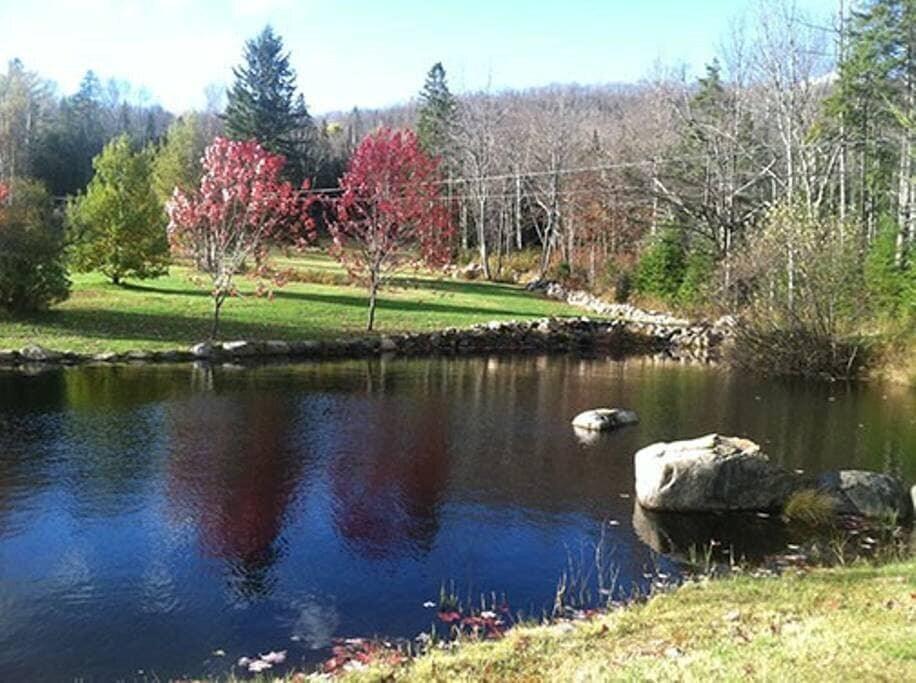 4862 Cascade Road Lake Placid, NY 12946 - Photo 21 of 24 Pond2