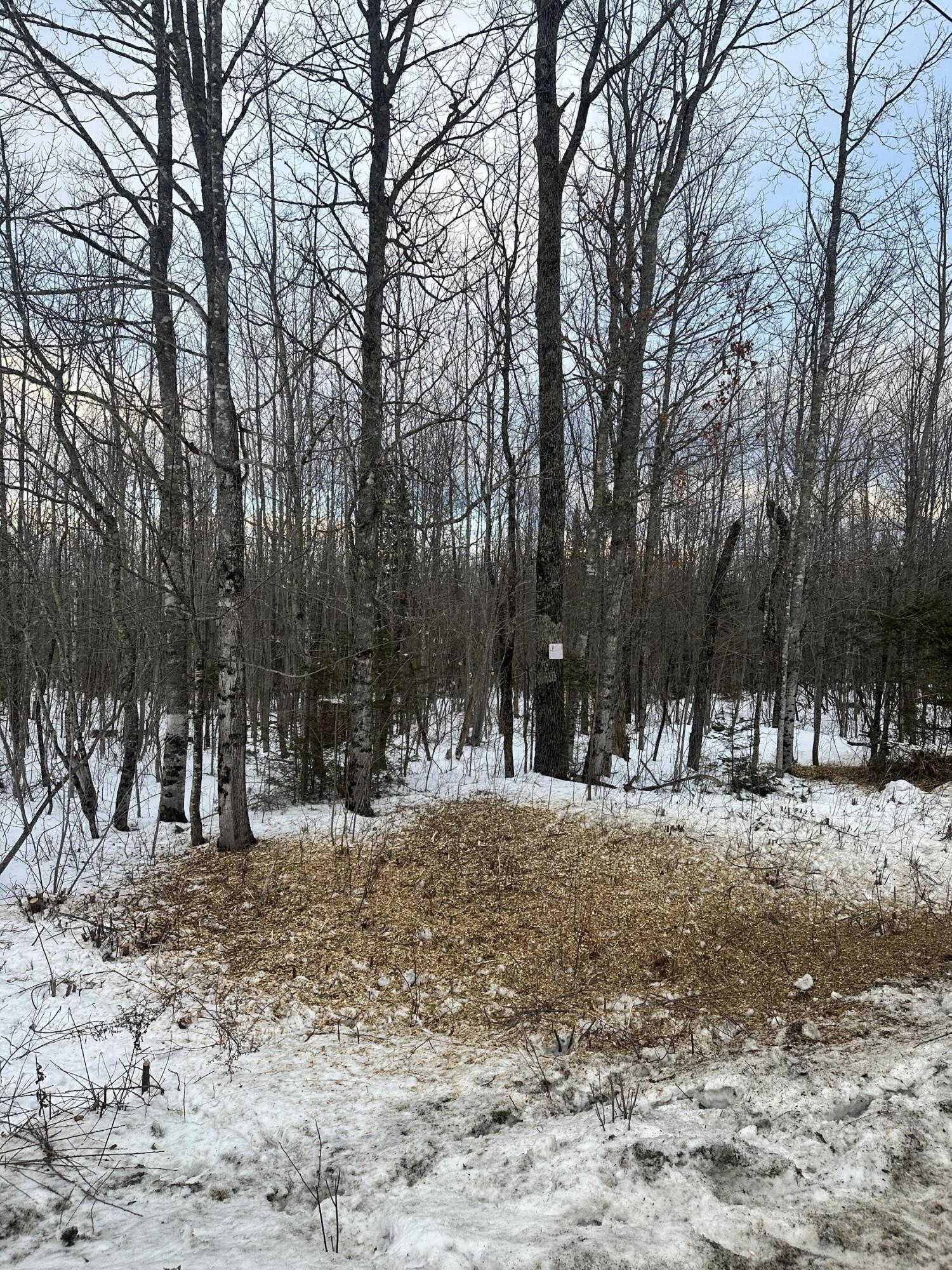 48-49 Middle Road Bradford, ME 04410 - Photo 2 of 6 IMG_3325