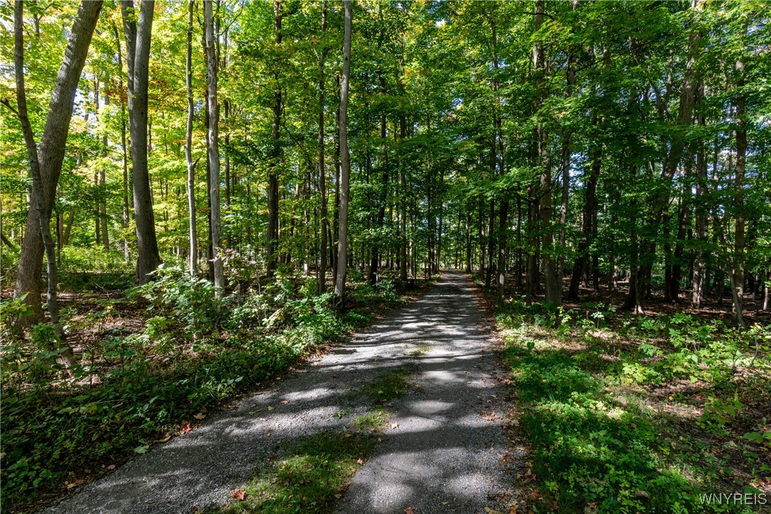 1442 Boies Road East Aurora, NY 14052 - Photo 3 of 47