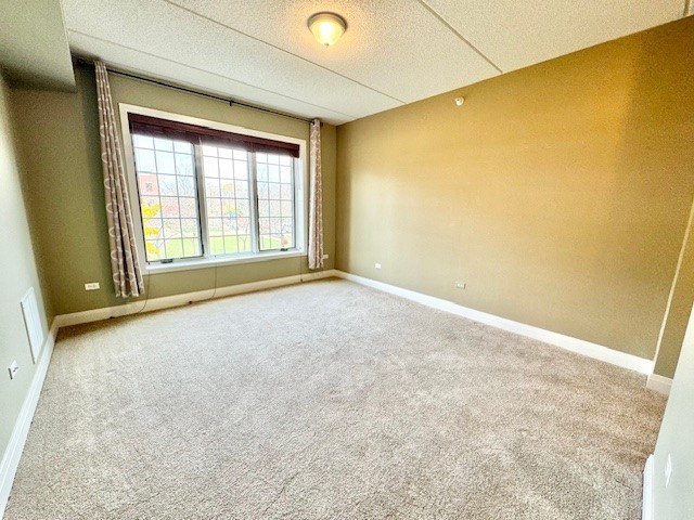 100 South Emerson Street, Unit 204 Mount Prospect, IL 60056 - Photo 9 of 15