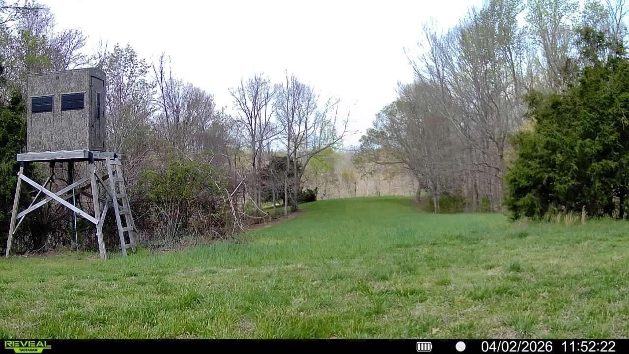5483 Subtle Road Edmonton, KY 42129 - Photo 12 of 23 Purvis.12