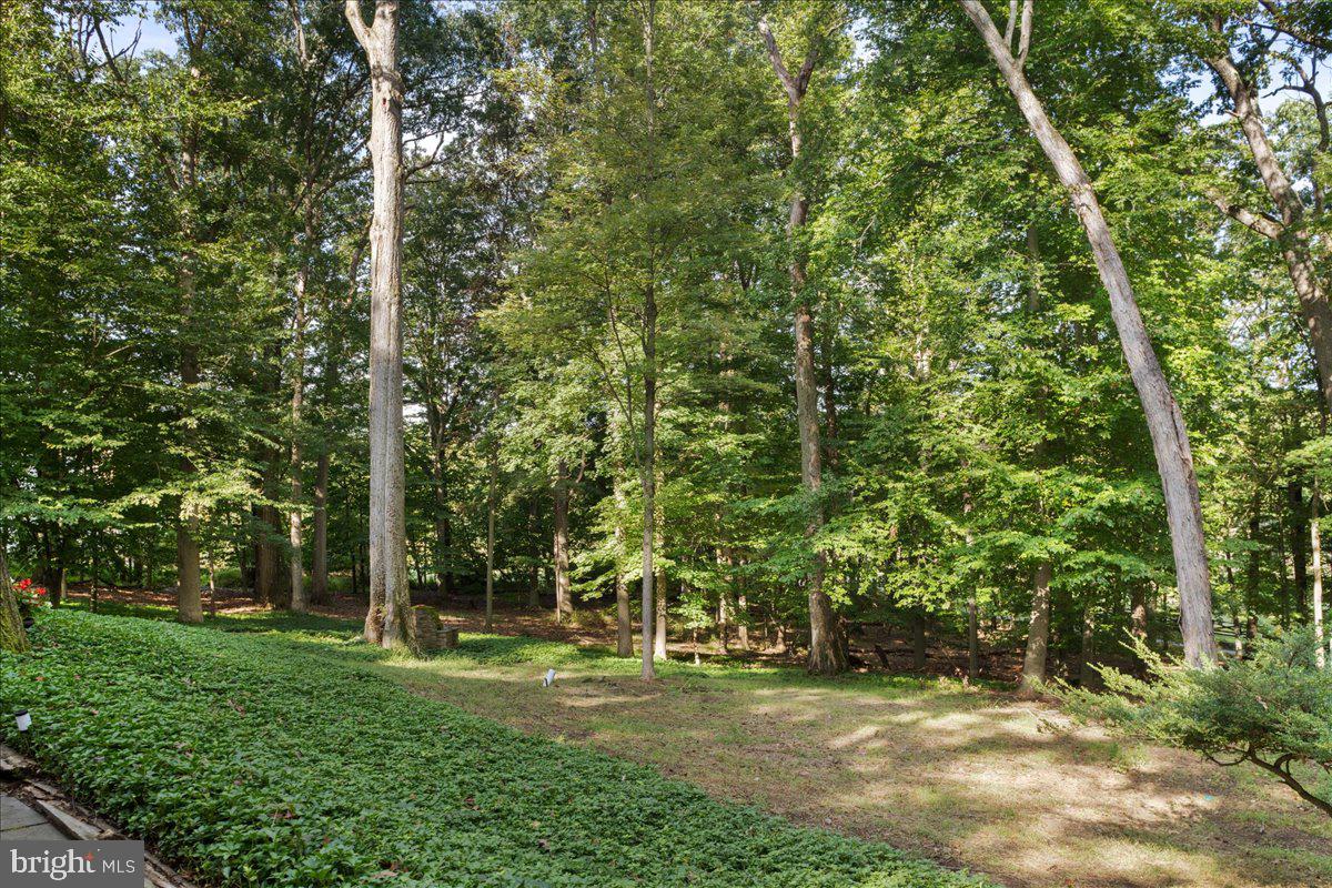 6535 Greenhill Road Lumberville, PA 18933 - Photo 34 of 49 Gallery Image 34
