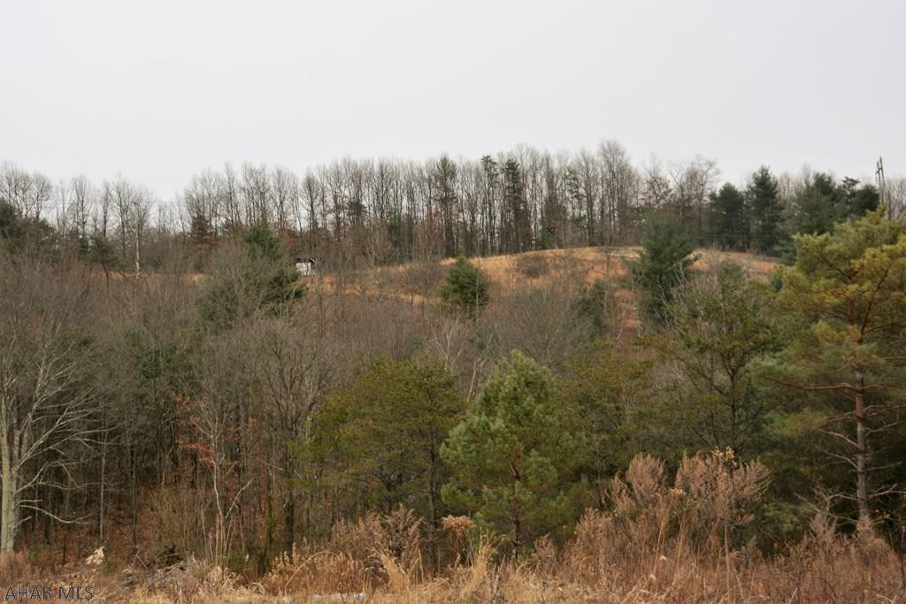 0 Raystown Road Hopewell, PA 16650 - Photo 41 of 51