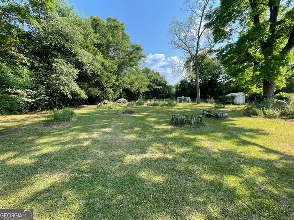 a view of a trees in a yard