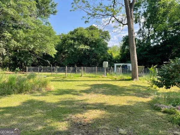 a view of a large trees with a big yard