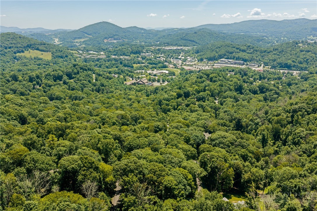 Lot 50 Fire Pink Road Boone, NC 28607 - Photo 3 of 15 Gallery Image 3