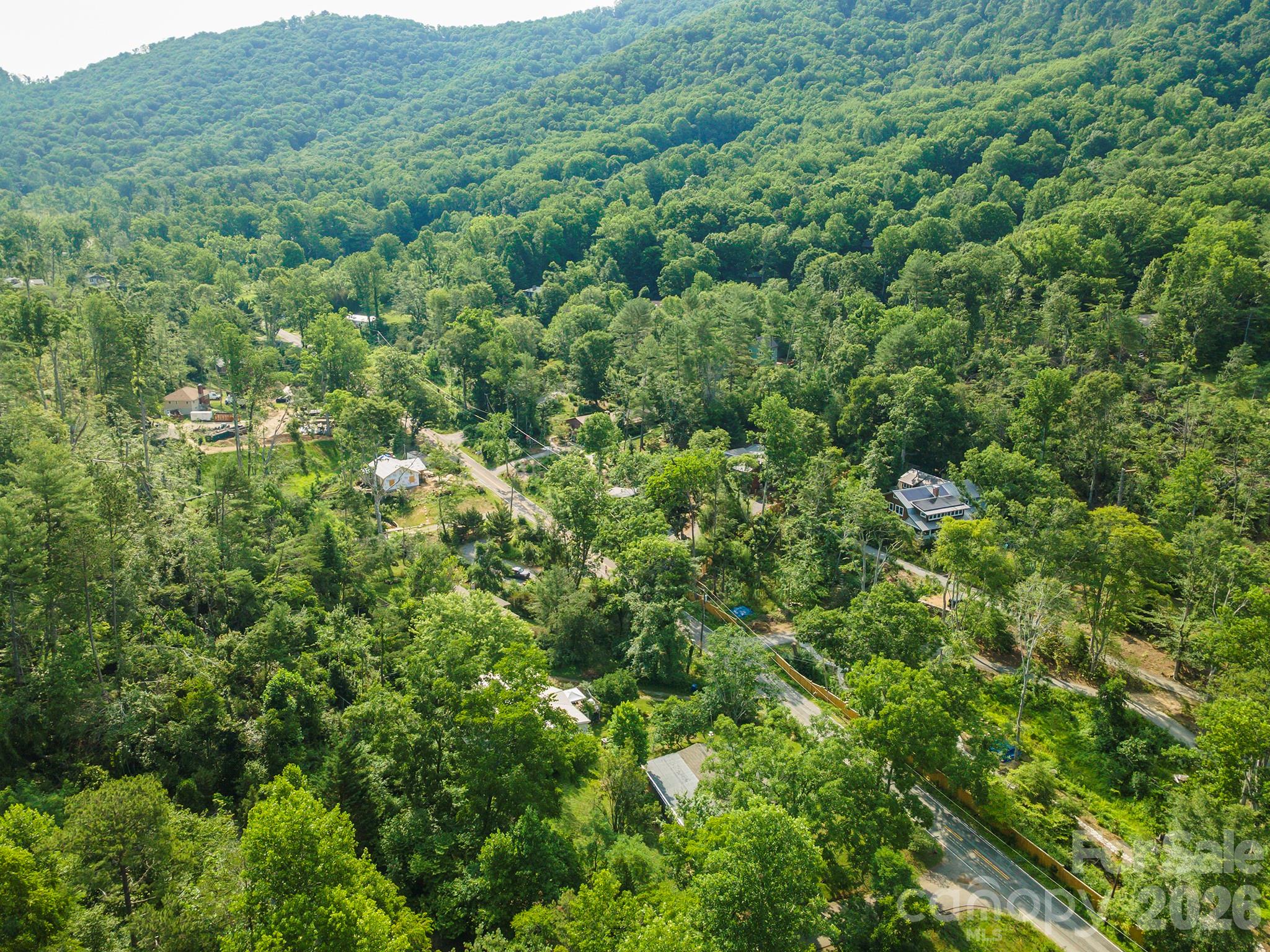 80 Webb Cove Road Asheville, NC 28804 - Photo 39 of 48