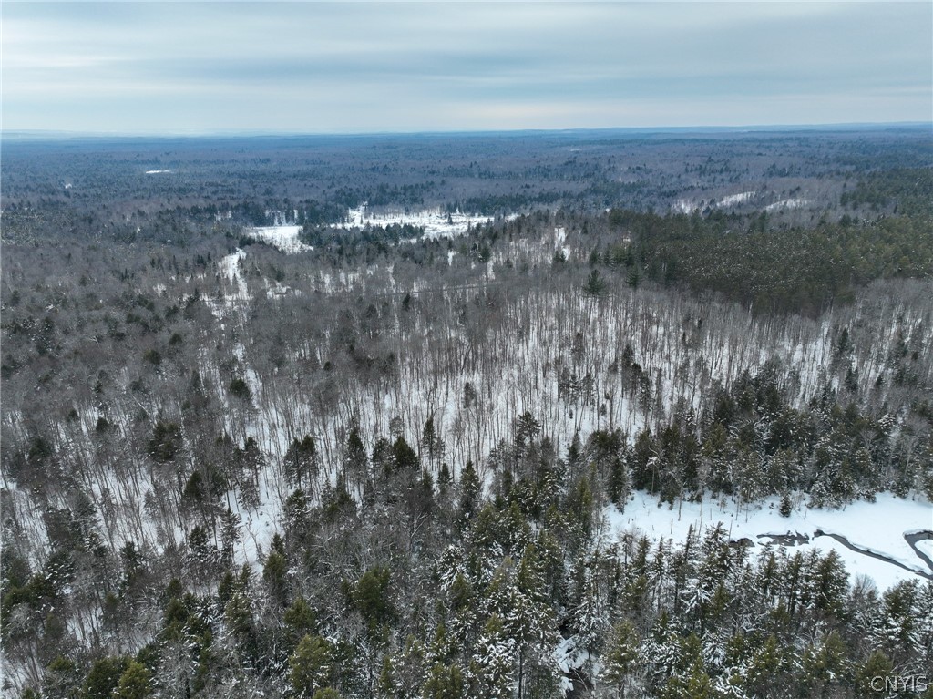 Lot#3 Roberts Road Remsen, NY 13438 - Photo 8 of 28