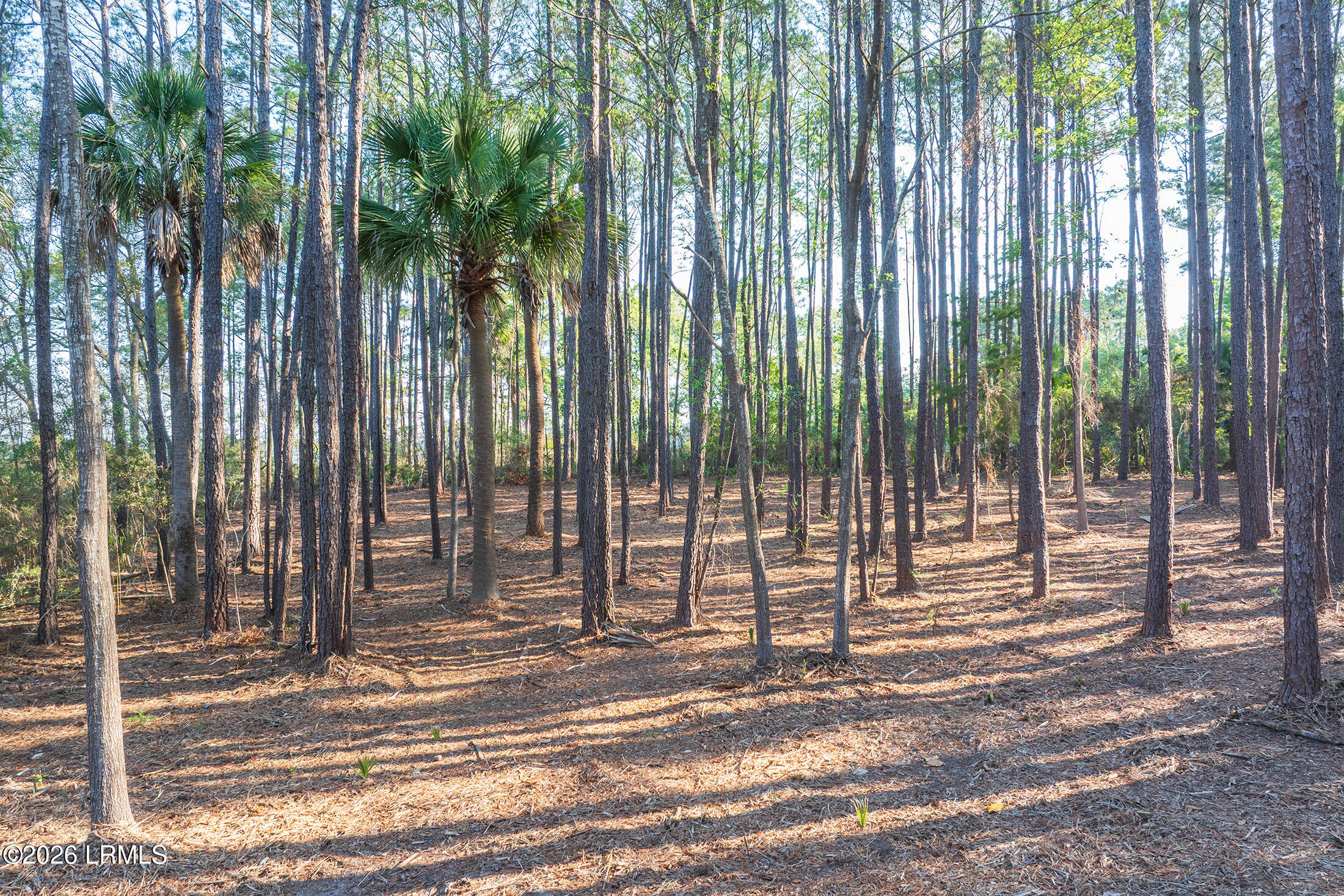 509 State Rd S-7-50 Okatie, SC 29909 - Photo 20 of 24 DJI_20260514083920_0059_D copy