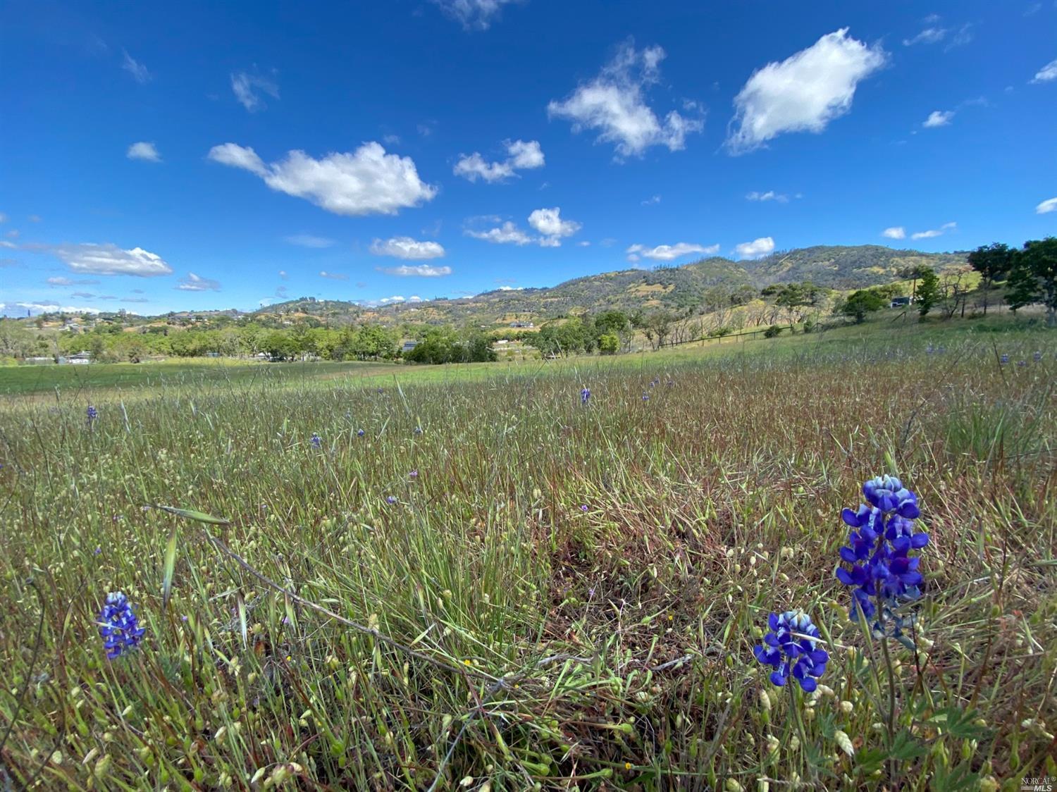 17 Winter Brook Lane Santa Rosa, CA 95404 - Photo 1 of 1 Gallery Image 1