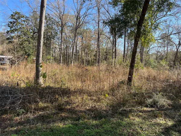 $65,000 | 0 Bitter Creek Drive, Shepherd, TX 77371