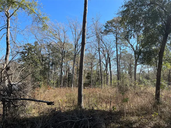 $65,000 | 0 Bitter Creek Drive, Shepherd, TX 77371