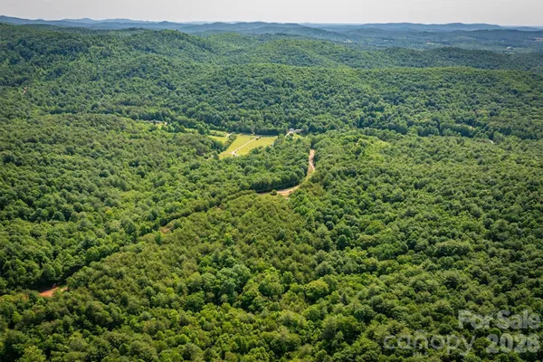 a view of a lush green forest with trees and some houses