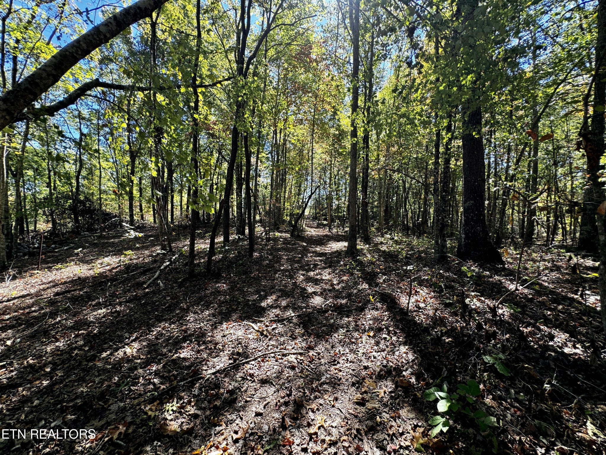 68 Muddy Pond Road Monterey, TN 38574 - Photo 13 of 16 Gallery Image 13