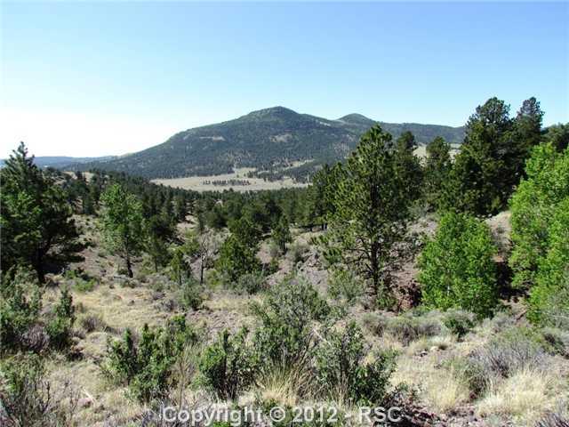 531 Wagonwheel Road Guffey, CO 80820 - Photo 13 of 16 Gallery Image 13