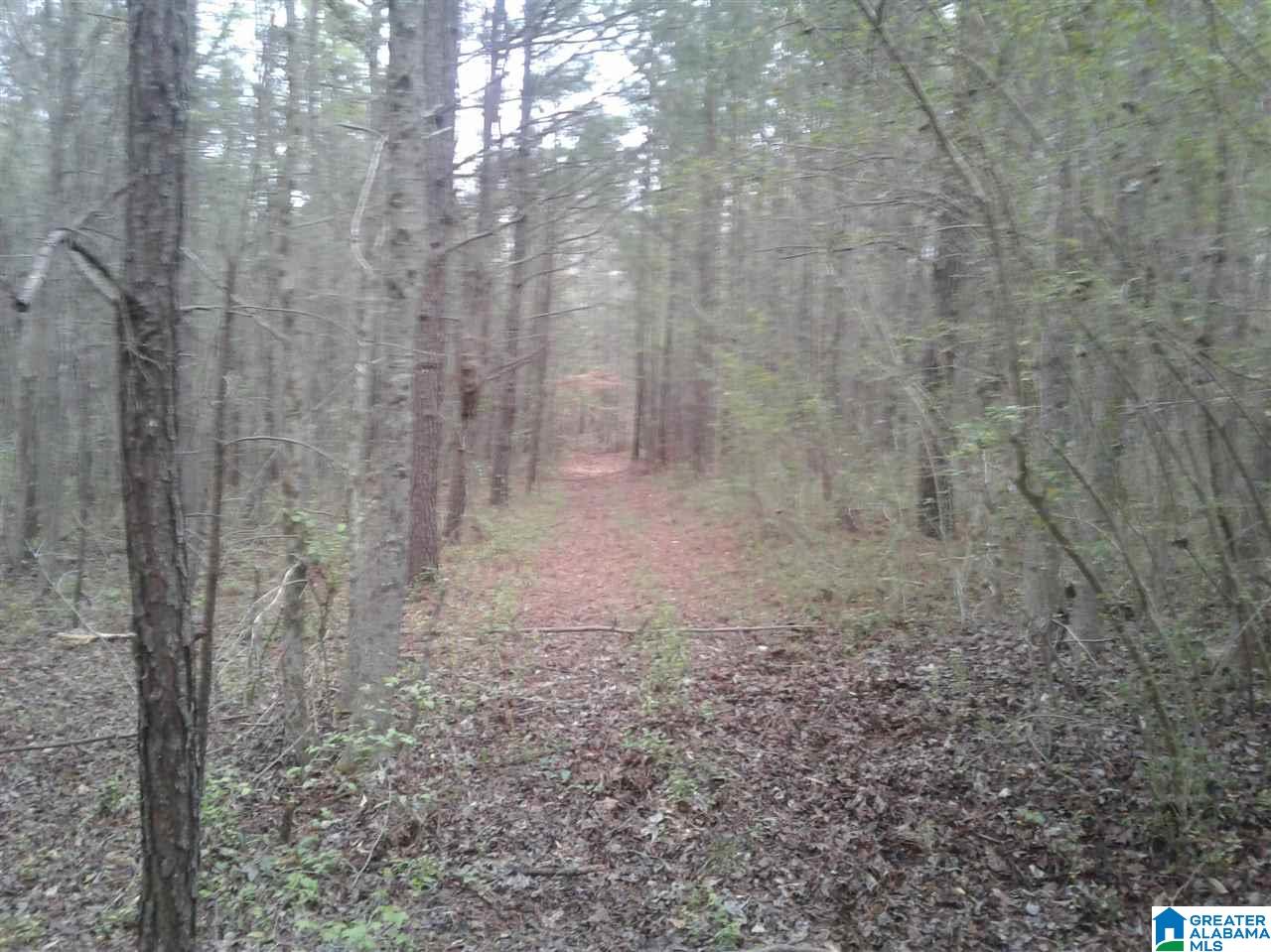 288 Fire Station Road, Unit 15 ACRES ( /) Ashland, AL 36251 - Photo 6 of 7