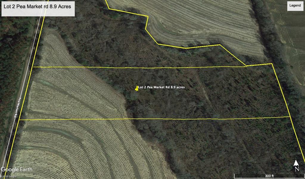 8.9-acre Pea Market Road Columbia, AL 36319 - Photo 1 of 1