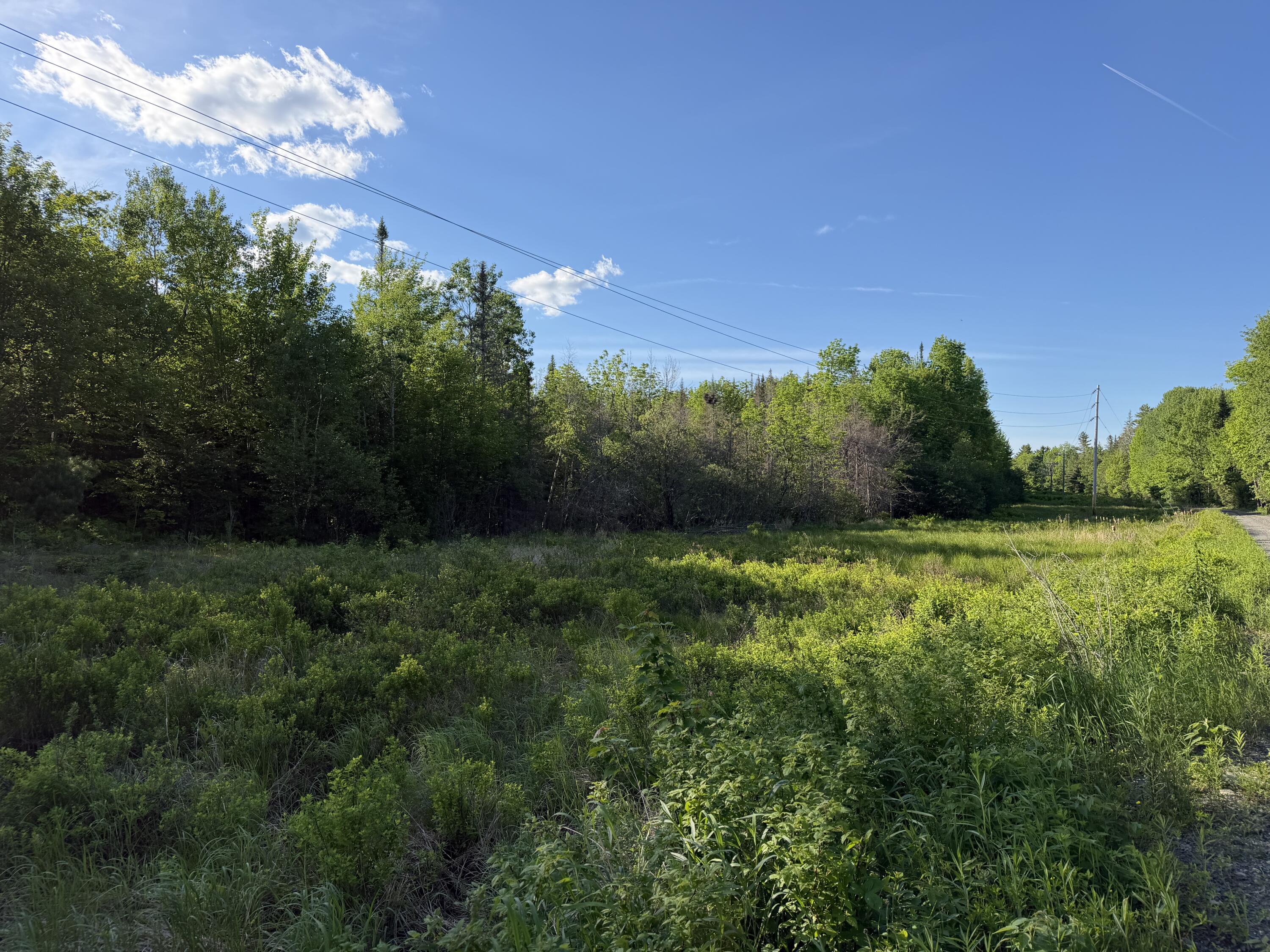Lot 12-001 Off North Guilford Road Monson, ME 04464 - Photo 15 of 48