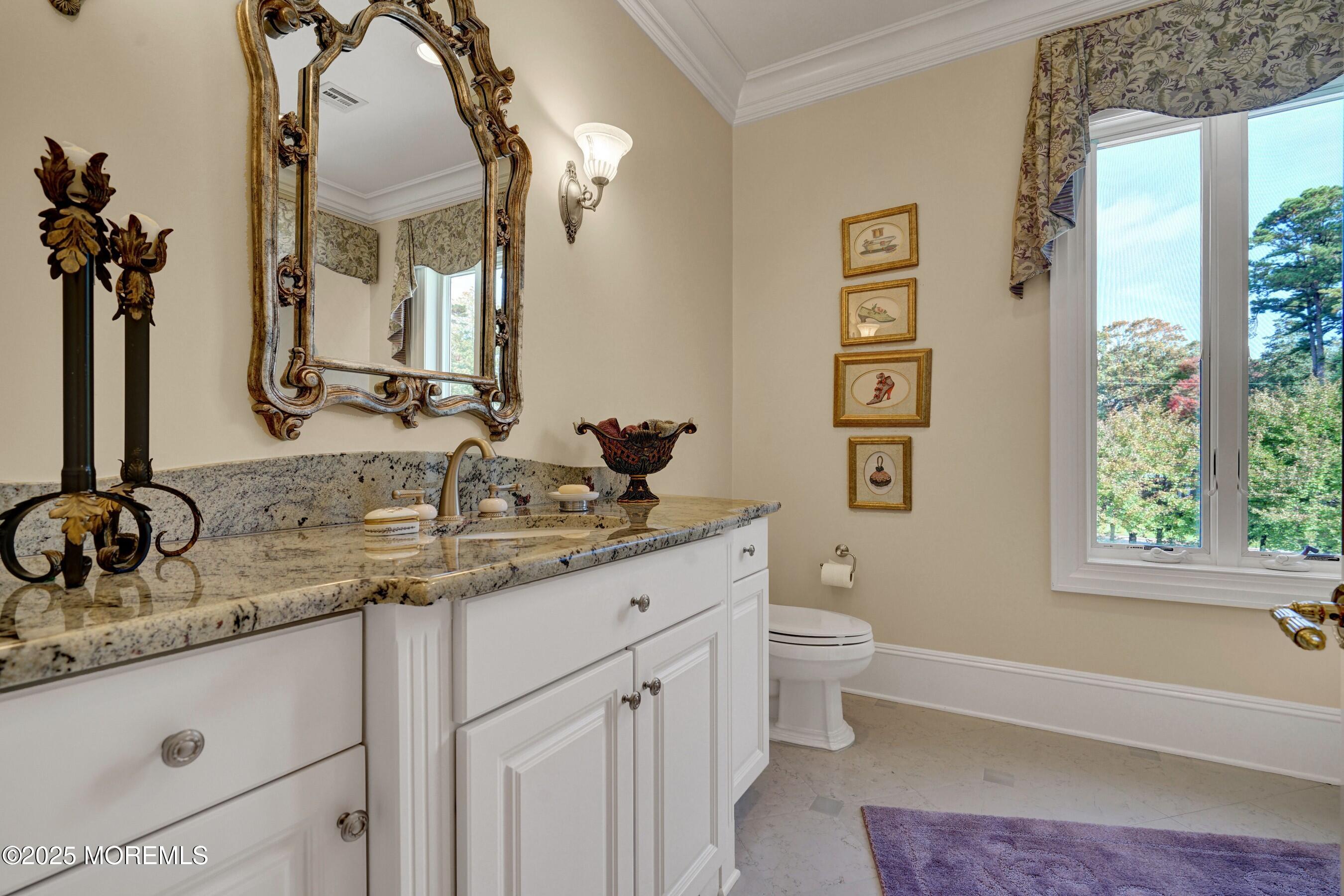 1015 Forrest Road Brielle, NJ 08730 - Photo 48 of 61 a bathroom with a granite countertop sink mirror vanity and a toilet