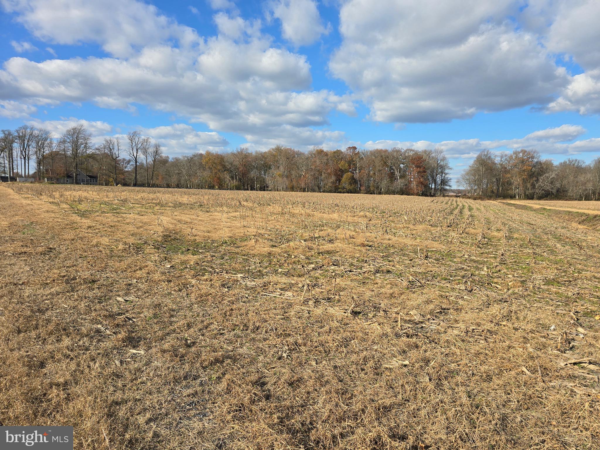 1 Poplar Neck, Unit ROAD Willards, MD 21874 - Photo 1 of 14 Southeast Corner From Rd