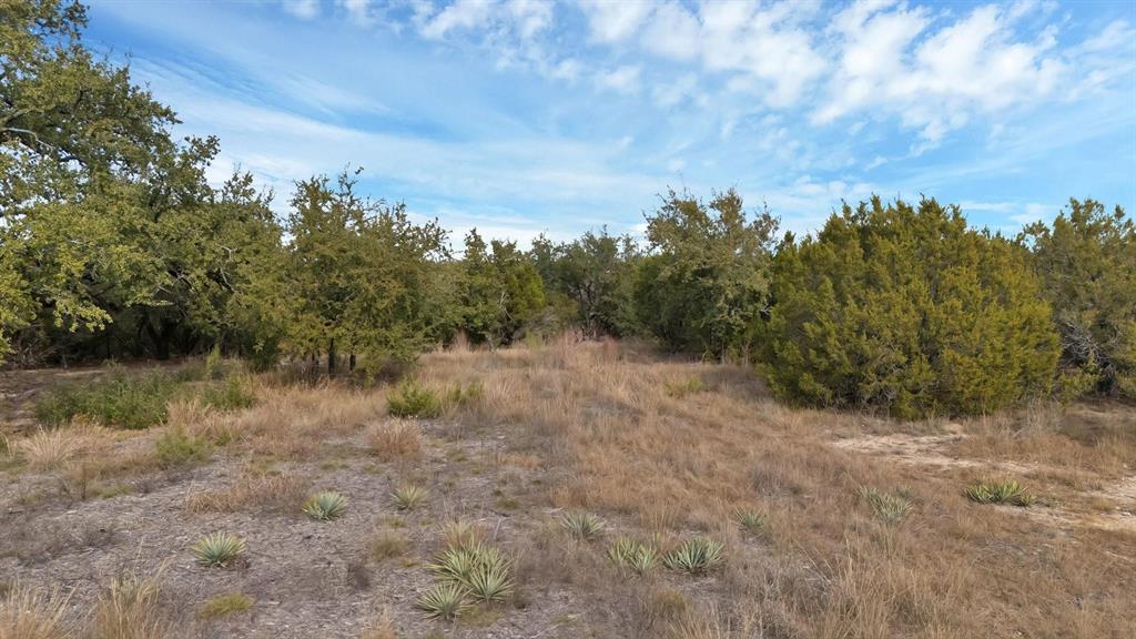 1064 County Road Nemo, TX 76070 - Photo 3 of 6 a view of a lake with trees in the background