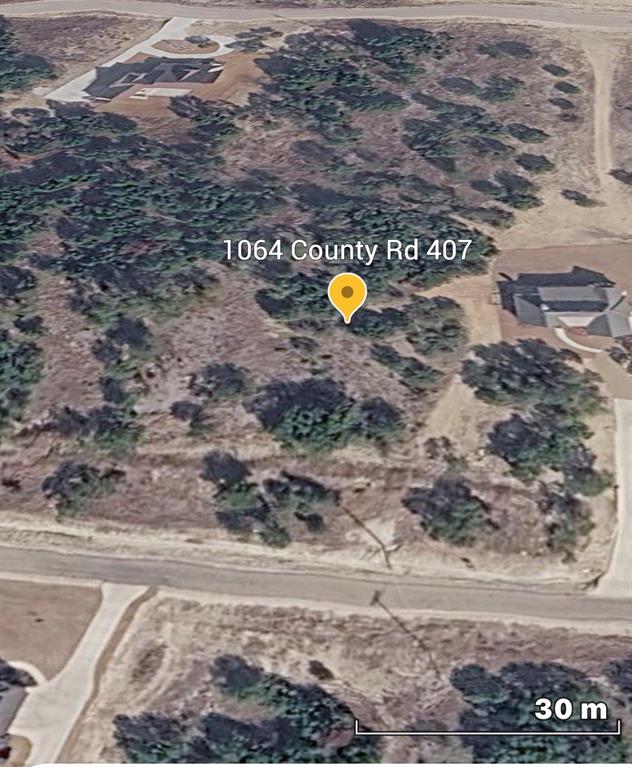 1064 County Road Nemo, TX 76070 - Photo 6 of 6 a view of a backyard of of a house