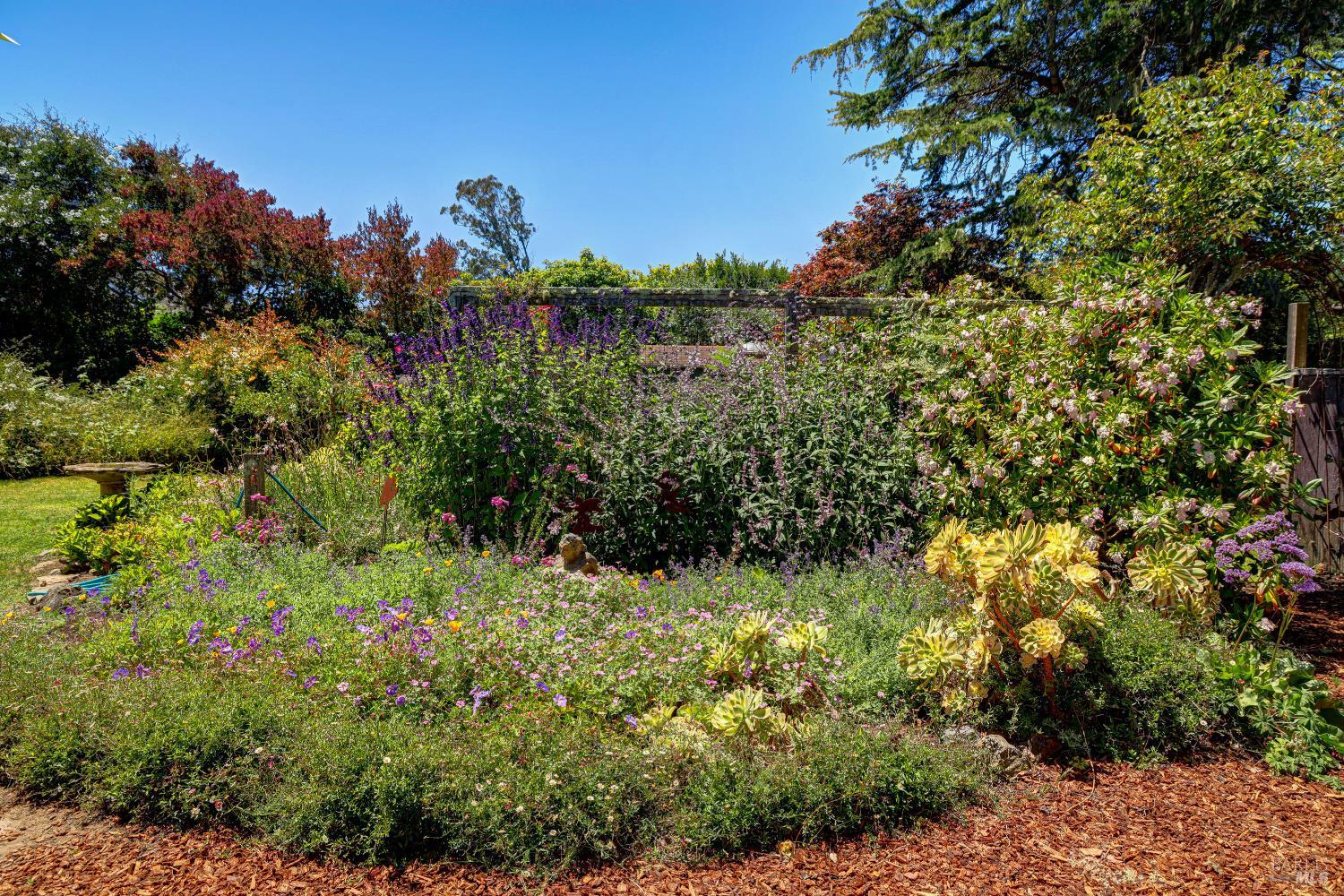 385 Cedar Road Bolinas, CA 94924 - Photo 40 of 70