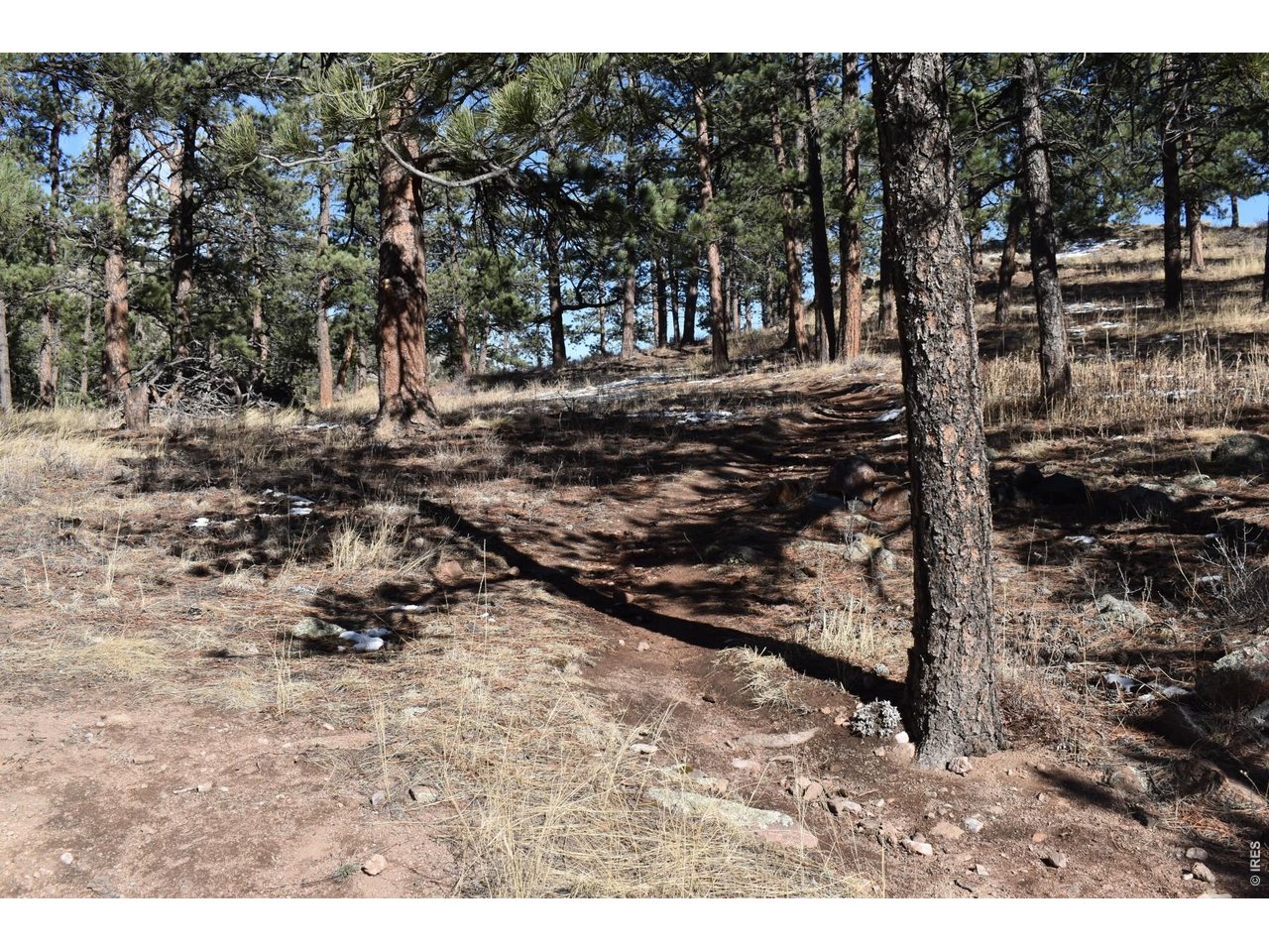 1477 Kiowa Road Lyons, CO 80540 - Photo 31 of 45 Trailhead to miles of National Forest