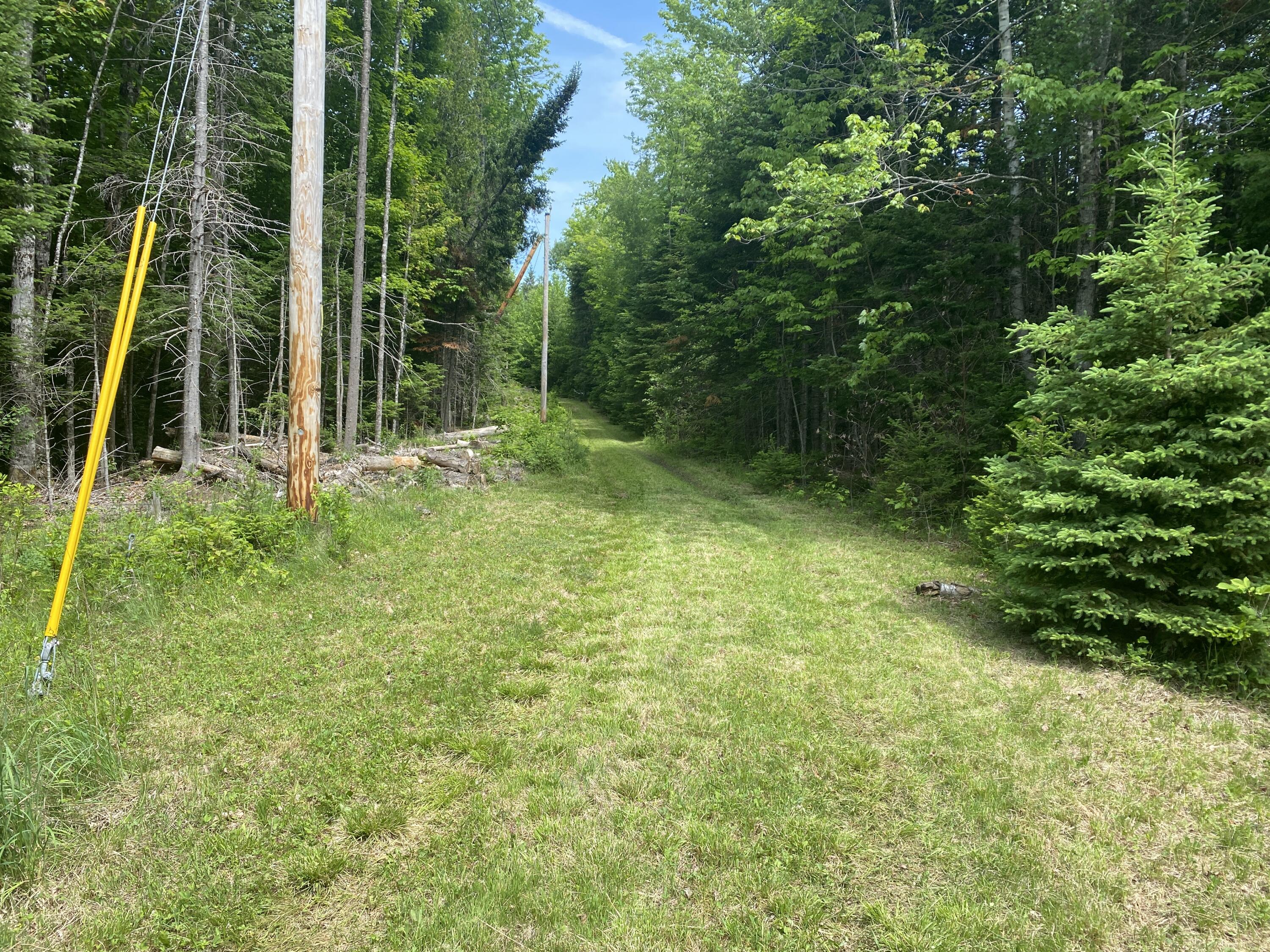 783 Half Township Road Lincoln, ME 04457 - Photo 5 of 24 IMG_5
