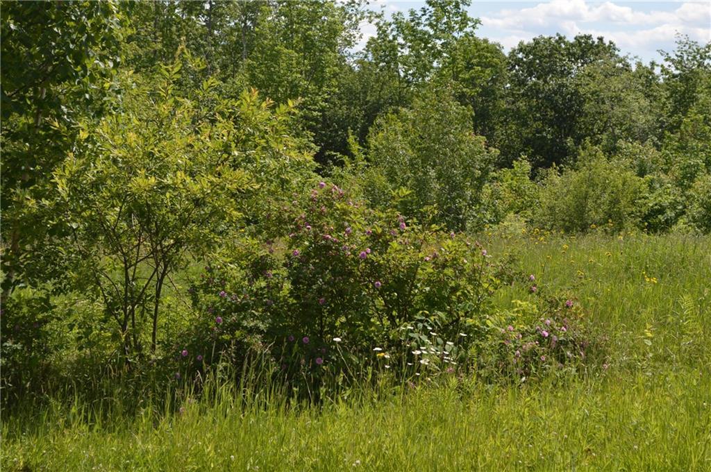 0 Peasley Hill Road St. Albans, ME 04971 - Photo 10 of 25 Photo