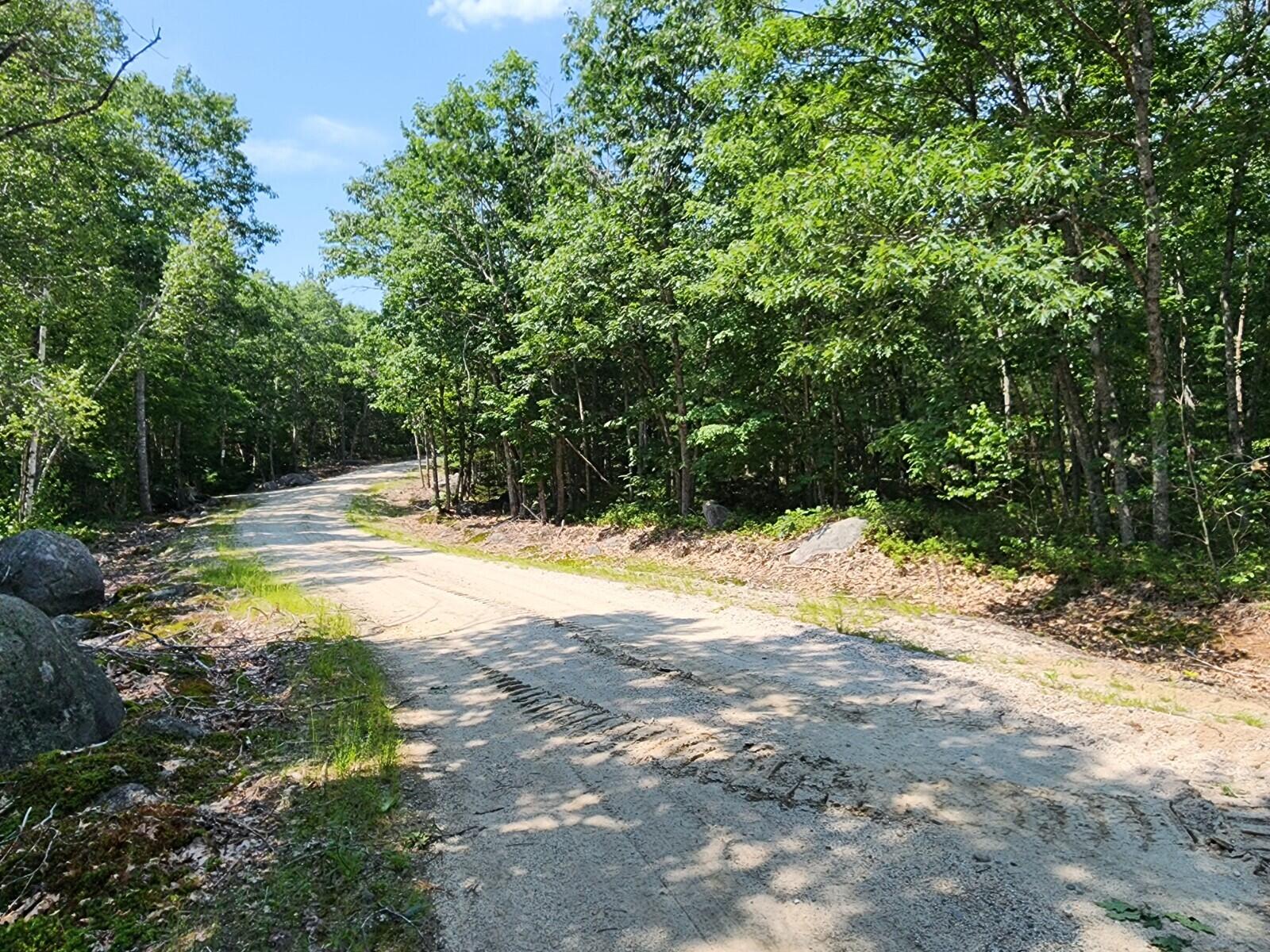 Lot 28 Lane Road Cherryfield, ME 04622 - Photo 1 of 8 20230712_140008