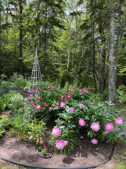 144 Meadow Cove Road Boothbay, ME 04537 - Photo 39 of 41 39