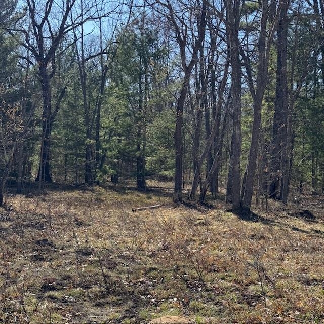C Scharmen Road Traverse City, MI 49696 - Photo 9 of 11