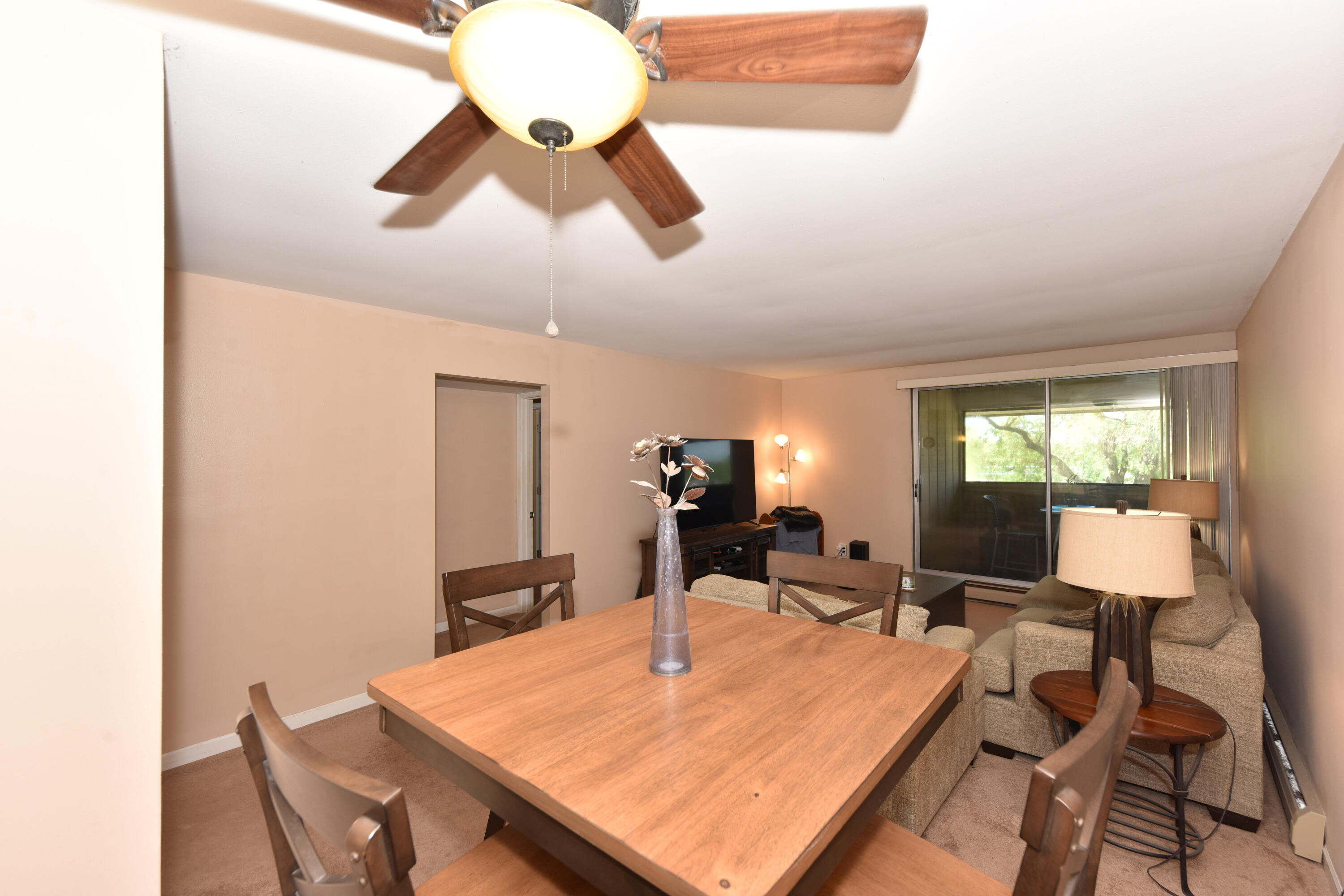 11907 West Appleton Avenue, Unit 20 Milwaukee, WI 53225 - Photo 7 of 44 Ceiling Fan Too