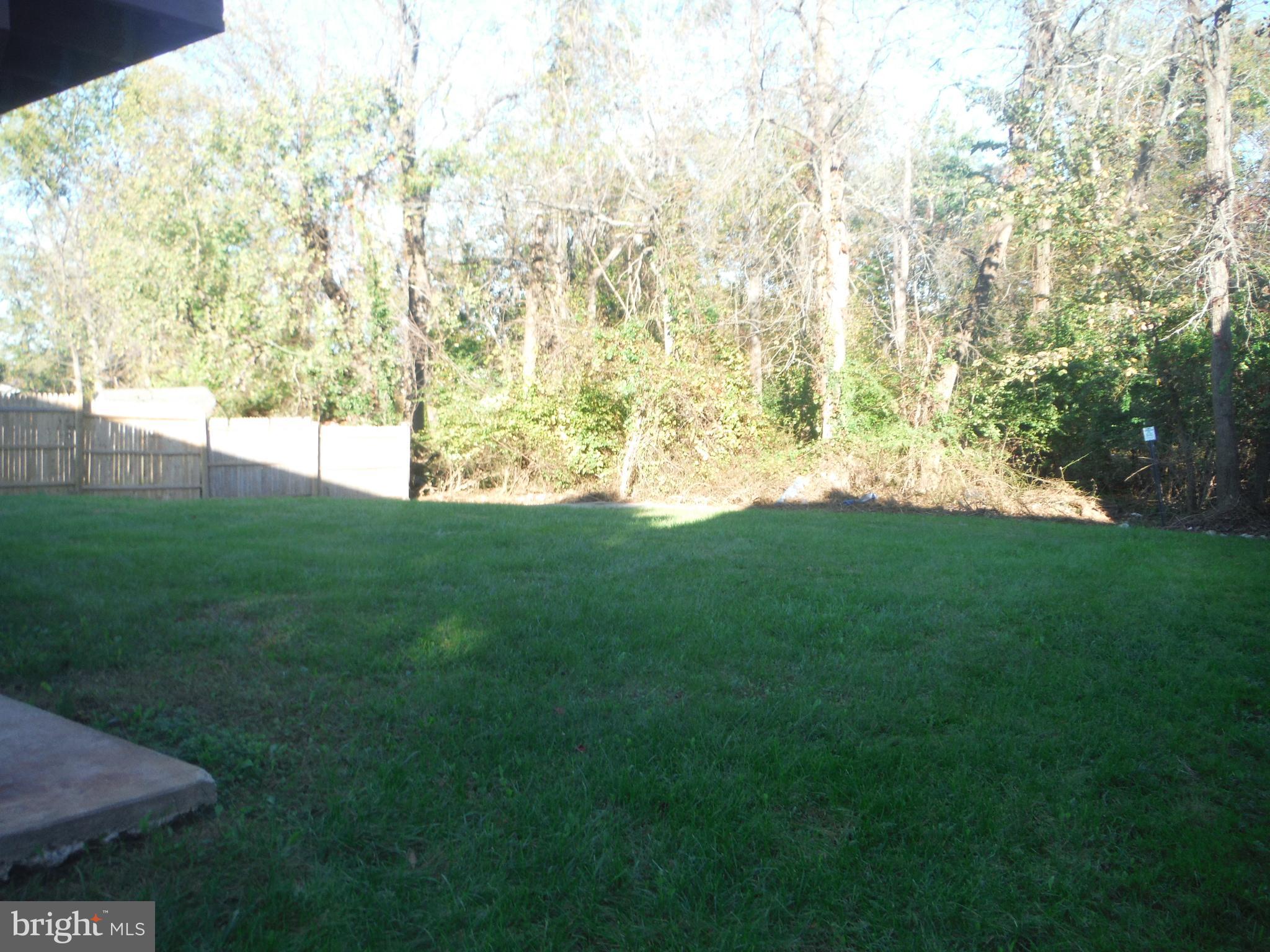 3201 Ripple Road Baltimore, MD 21244 - Photo 28 of 30 large level yard