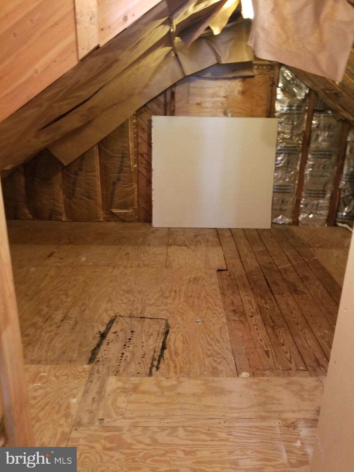 21 Randolph Road Fredericksburg, VA 22405 - Photo 15 of 18 Walk-in attic storage
