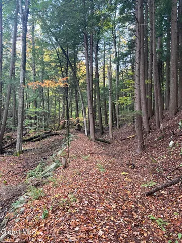 $229,900 | 355 County Highway 123, Mayfield, NY 12117