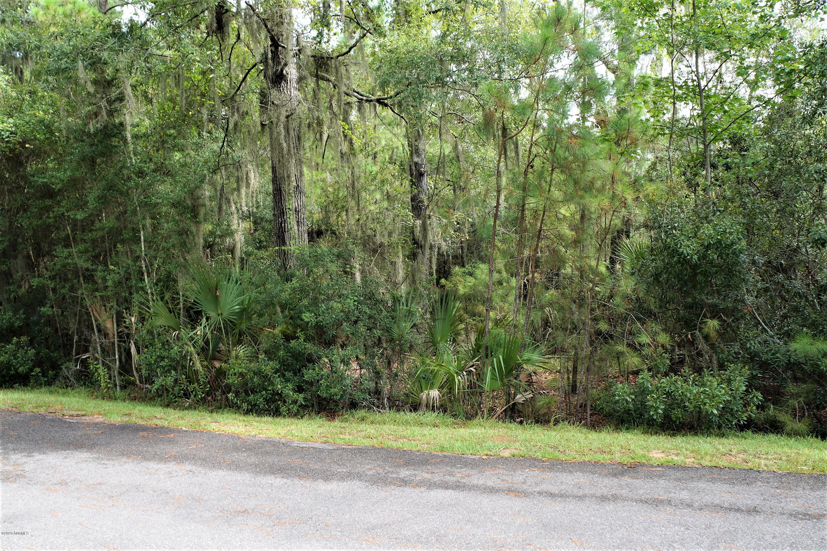 90 West Branch Road Ridgeland, SC 29936 - Photo 1 of 6 DSC09073