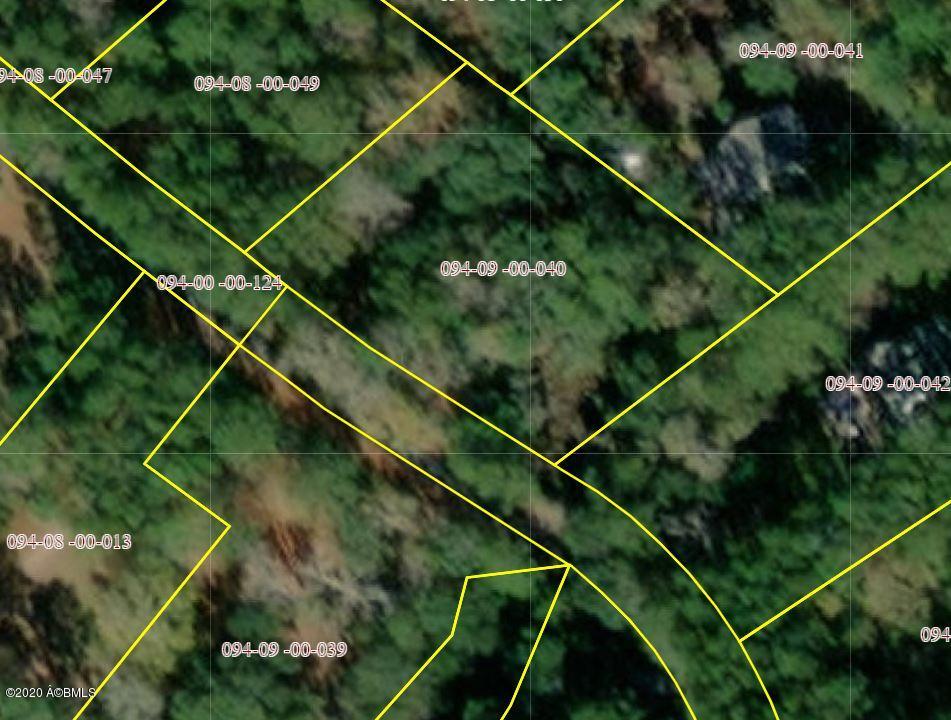 90 West Branch Road Ridgeland, SC 29936 - Photo 2 of 6 Capture