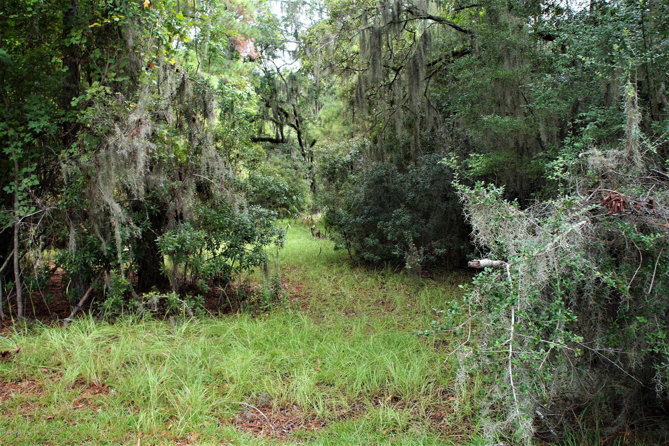 90 West Branch Road Ridgeland, SC 29936 - Photo 4 of 6 DSC09075