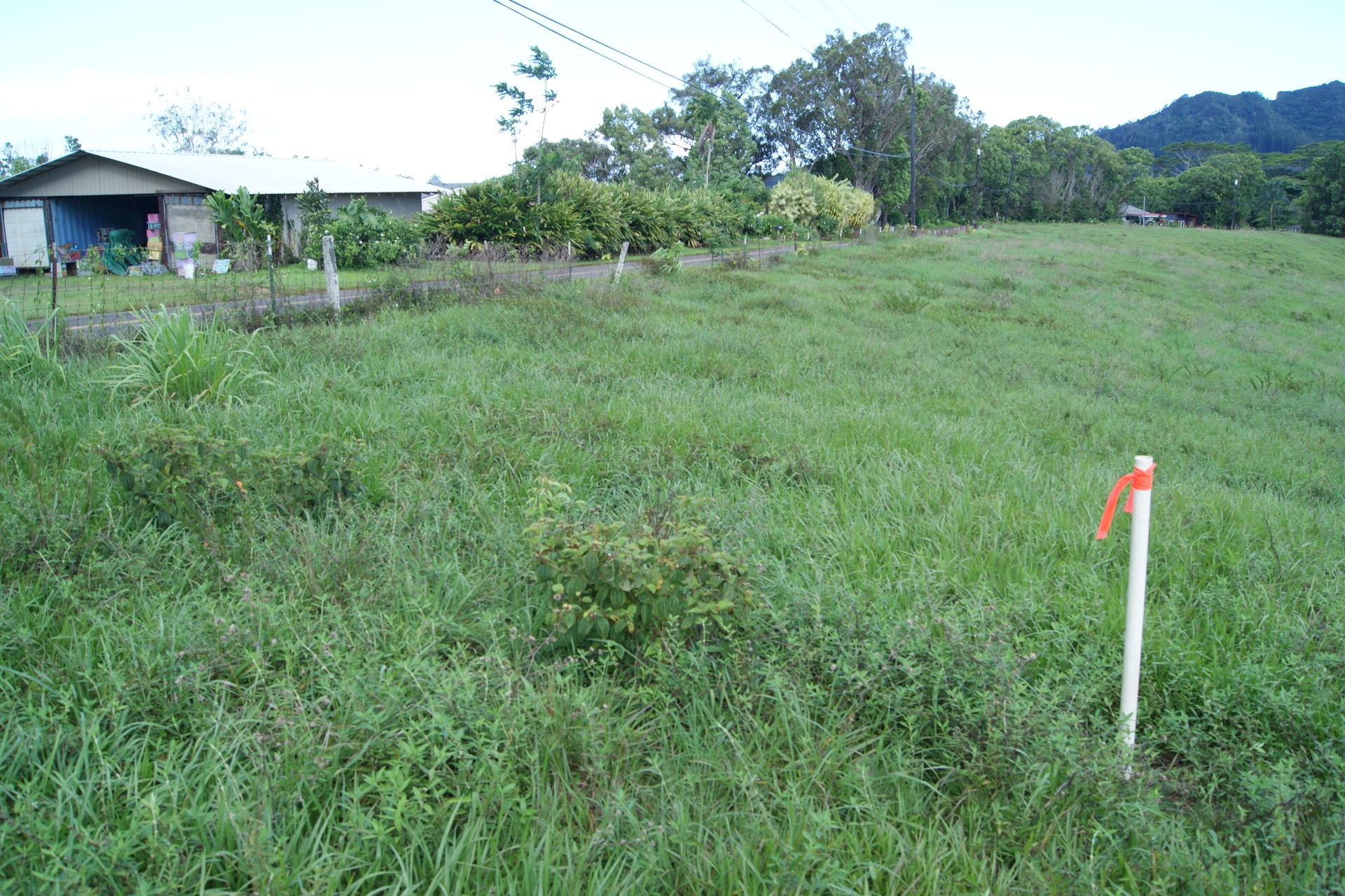 Olohena Road Kapaa, HI 96746 - Photo 12 of 14