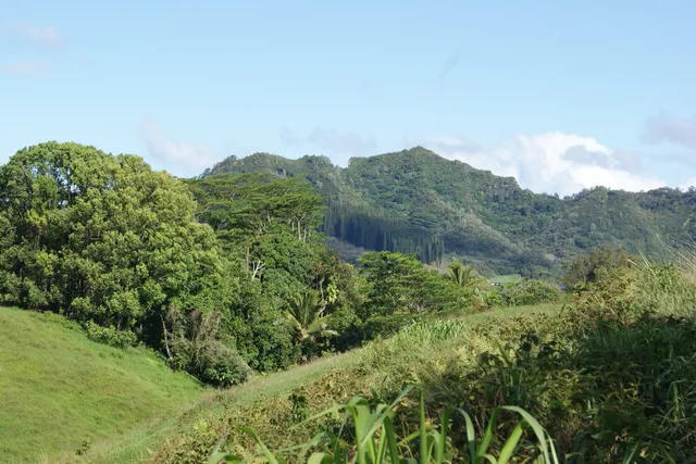 $599,000 | Olohena Road, Kapaa, HI 96746