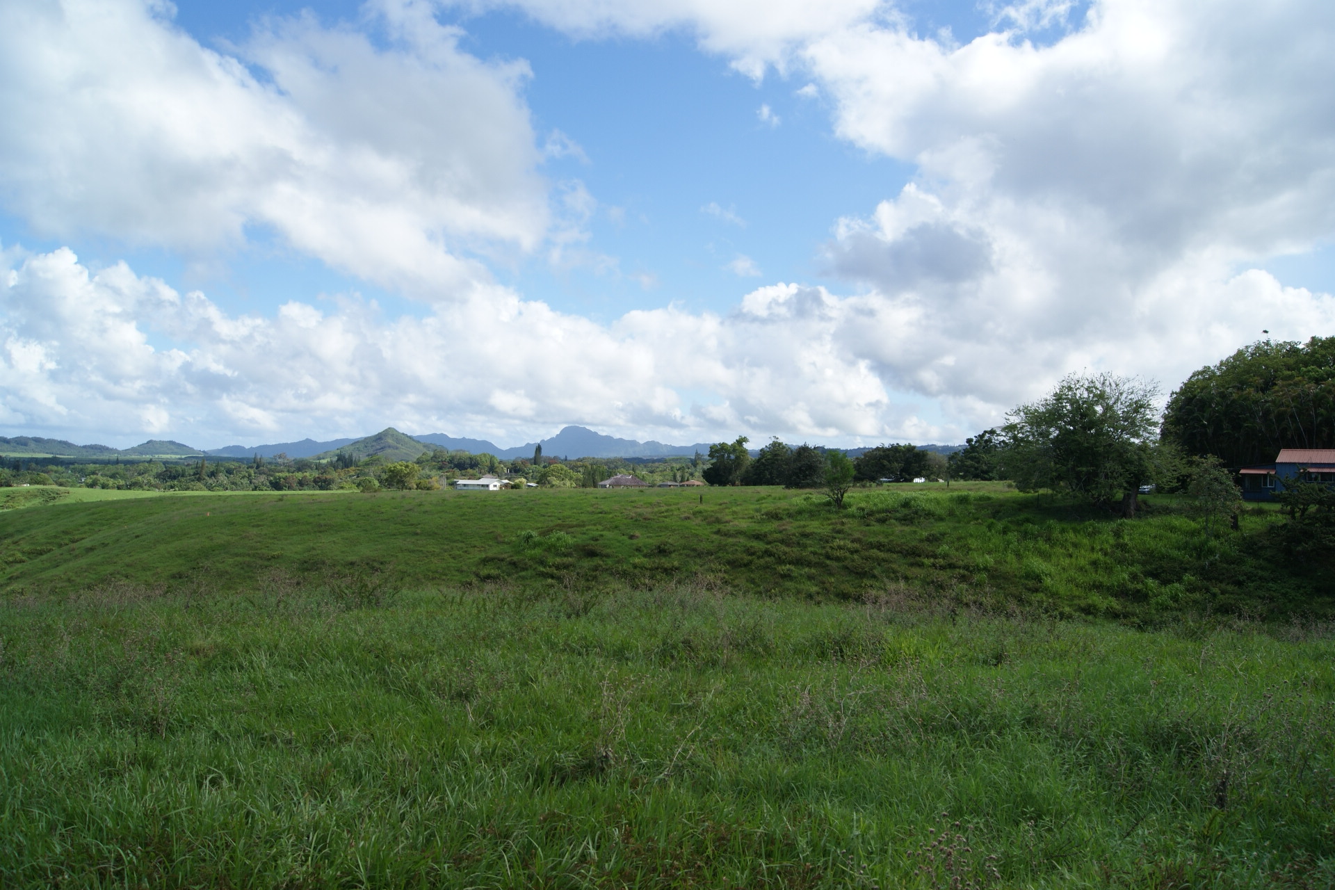 Olohena Road Kapaa, HI 96746 - Photo 5 of 14
