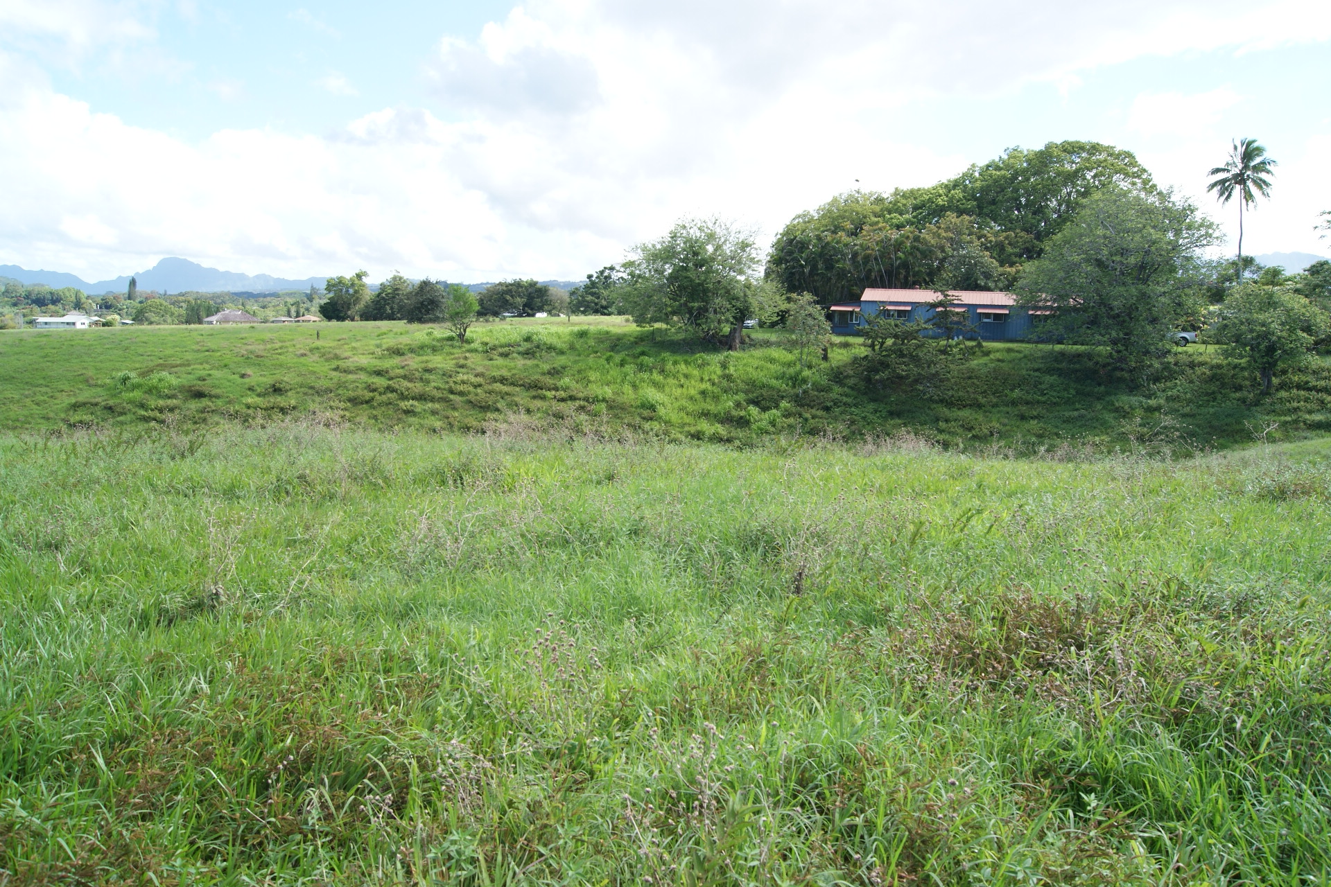 Olohena Road Kapaa, HI 96746 - Photo 7 of 14
