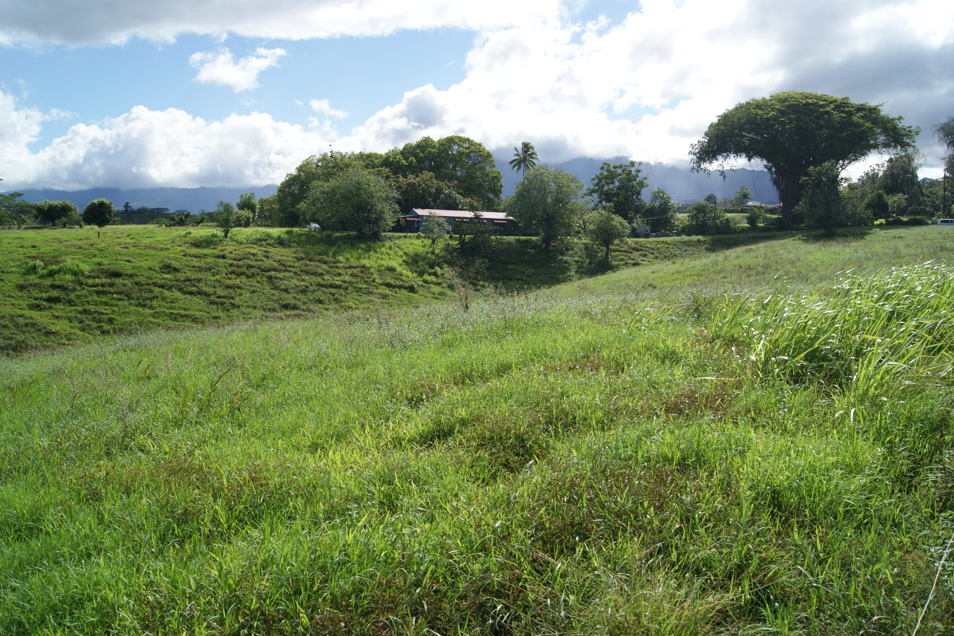Olohena Road Kapaa, HI 96746 - Photo 8 of 14
