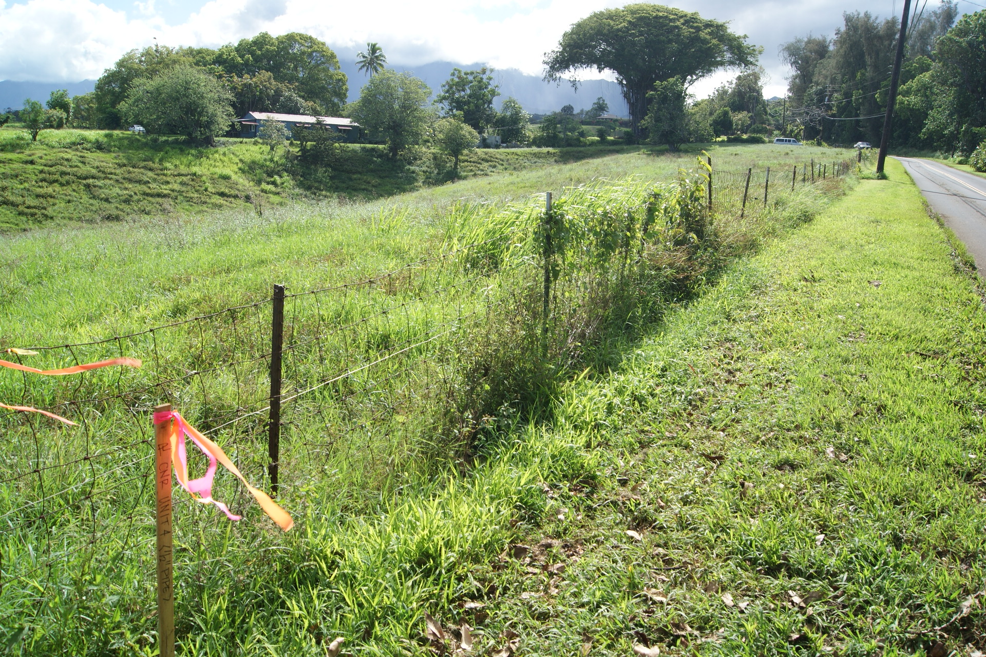 Olohena Road Kapaa, HI 96746 - Photo 10 of 14